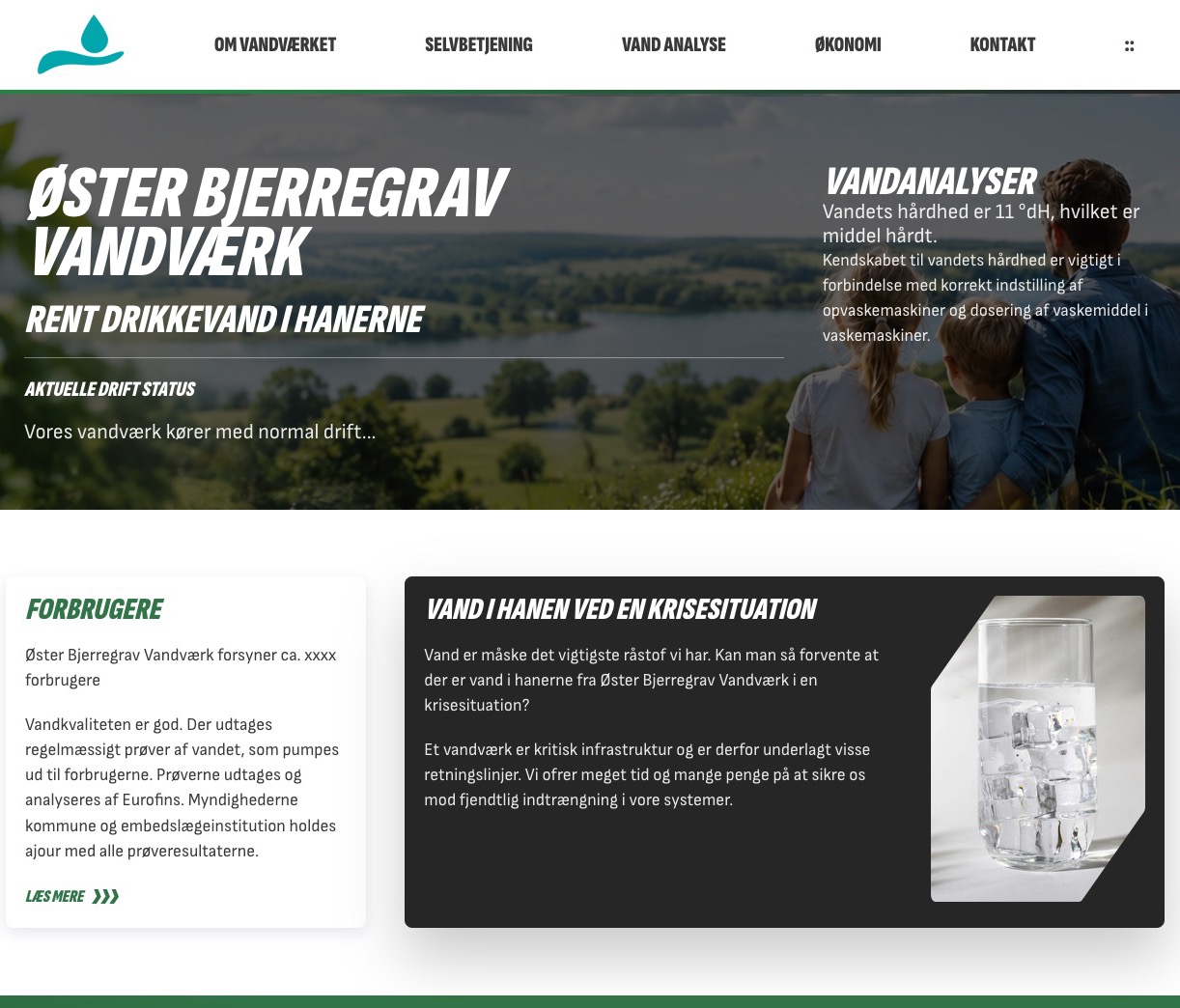 Eksempel 2 på hjemmeside lavet af Moesborg NET-UP